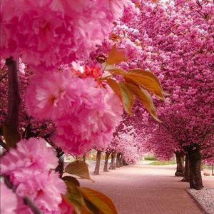 🛍 Make an Offer today 🎉